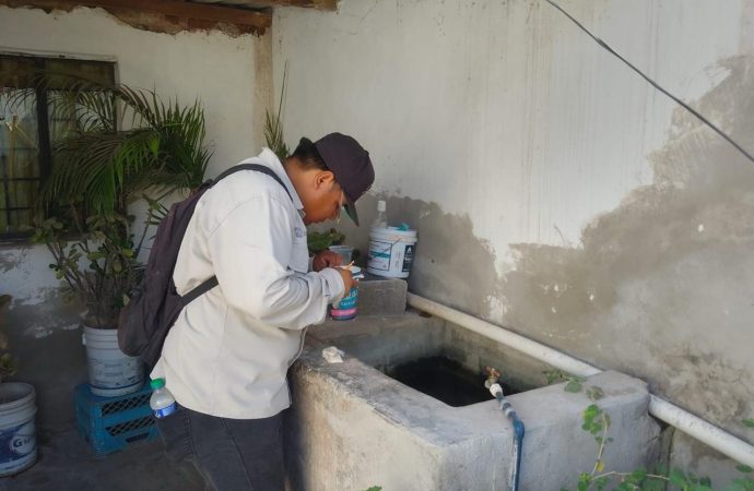 Llaman a mantener espacios limpios en estas fiestas