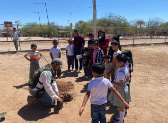 Impulsa Ayuntamiento de Hermosillo más de 160 acciones de educación ambiental y reforestación durante 2025