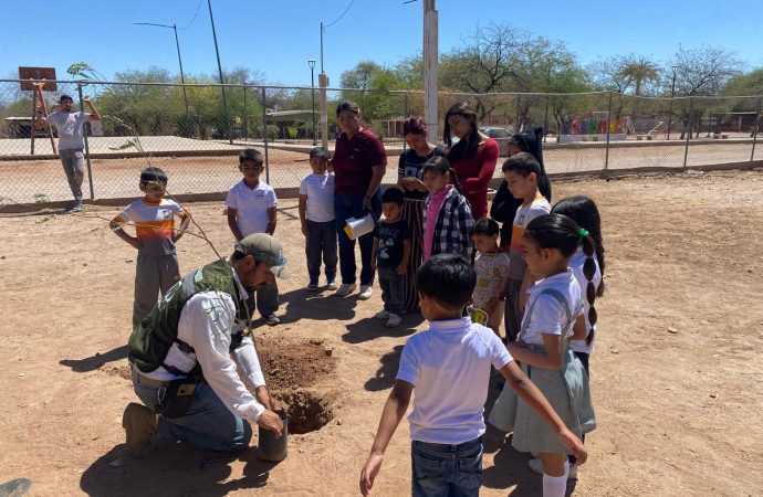 Impulsa Ayuntamiento de Hermosillo más de 160 acciones de educación ambiental y reforestación durante 2025