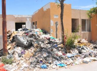 Pretenden ubicar a dueños de predios abandonados para limpieza de solares