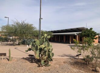 UPY abrirá convocatoria de ingreso a finales de enero