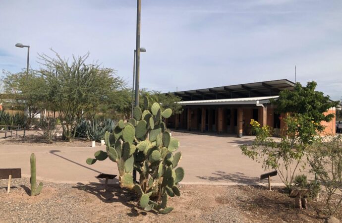 UPY abrirá convocatoria de ingreso a finales de enero