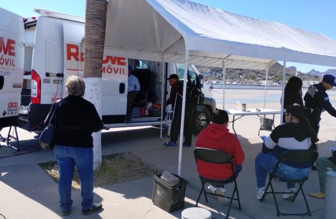 Concluye periodo de regularización de vehículos extranjeros con casi 3 millones de unidades legalizadas