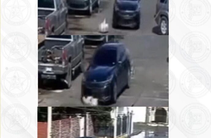 Judicializan hoy caso de crueldad animal en Cananea