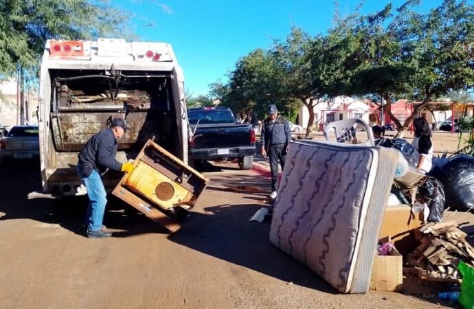 Habilitan diferentes centros de acopio para arbolitos de navidad en colonias de la ciudad