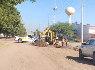 Canacintra considera importante darle continuidad a proyectos estratégicos