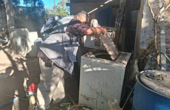 Llaman a intensificar acciones contra la garrapata