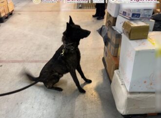 Aseguran en el AICM paquete con fentanilo proveniente de país asiático