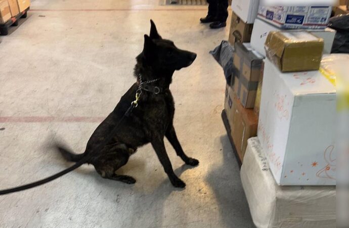 Aseguran en el AICM paquete con fentanilo proveniente de país asiático