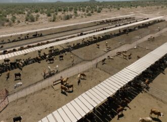 Durazo logra alianza con UGRS e impulsan más de 800 millones para parque industrial y modernización ganadera