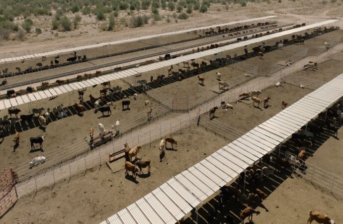 Durazo logra alianza con UGRS e impulsan más de 800 millones para parque industrial y modernización ganadera