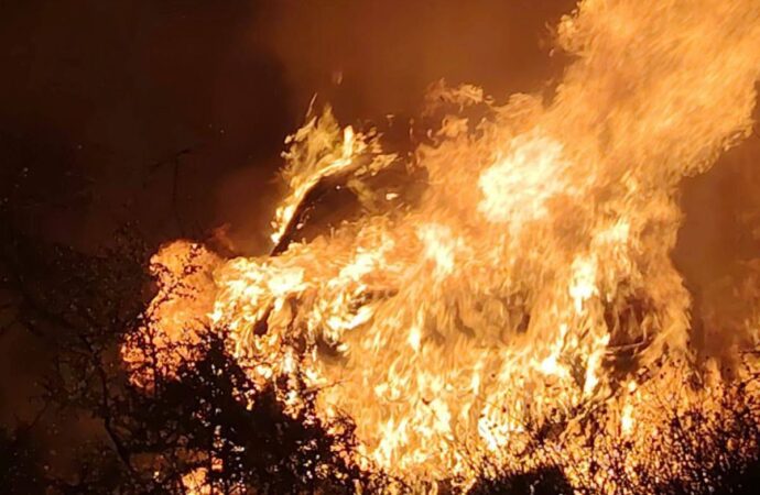 Mueren dos personas calcinadas tras incendiarse su vehículo en carretera de Guaymas