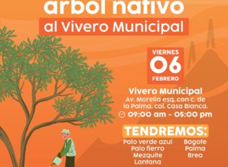 Hermosillo impulsa jornada de entrega gratuita de árboles nativos este viernes