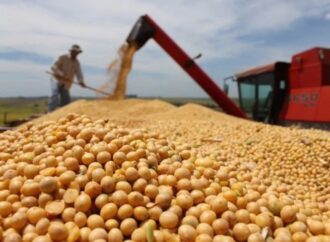 Exportaciones de granos de México caen 76% en 2025 por baja producción