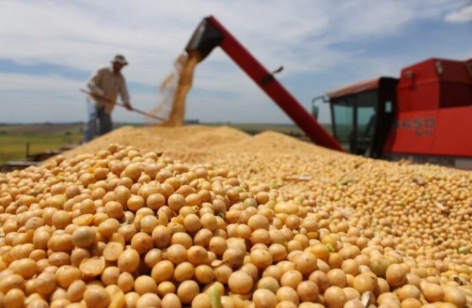 Exportaciones de granos de México caen 76% en 2025 por baja producción