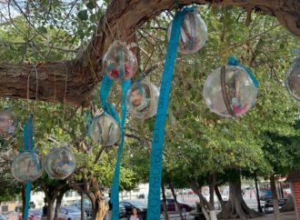 Adornan árbol con esferas de personas desaparecidas en Sonora