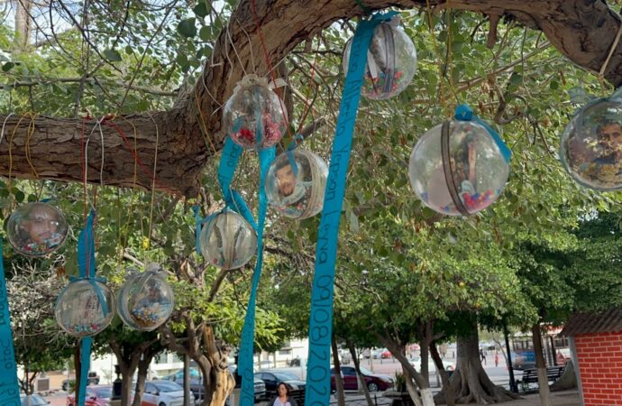 Adornan árbol con esferas de personas desaparecidas en Sonora