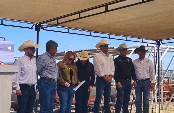 Gobierno federal implementa plan de mejoramiento genético del ganado en Sonora