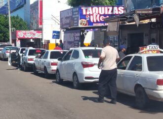 Taxistas Colectivos de Ciudad Obregón Se Formalizan Como Sociedad Cooperativa