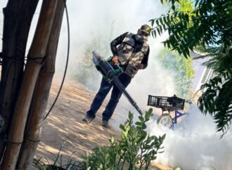 Récord en fumigación en Sonora: La batalla contra el mosquito sigue en los hogares