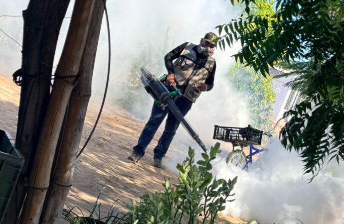 Récord en fumigación en Sonora: La batalla contra el mosquito sigue en los hogares