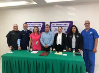 Bajo amenaza: el otro rostro de la medicina veterinaria en tiempos de redes