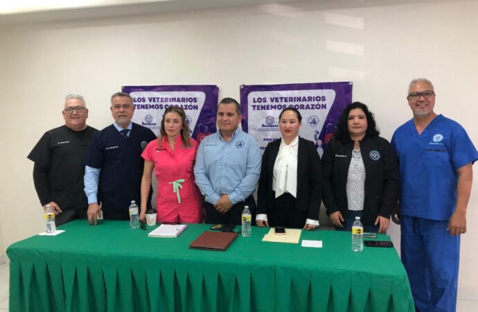Bajo amenaza: el otro rostro de la medicina veterinaria en tiempos de redes