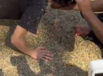 Joven “therian” come croquetas de perro en CU y reunión termina con solo dos asistentes