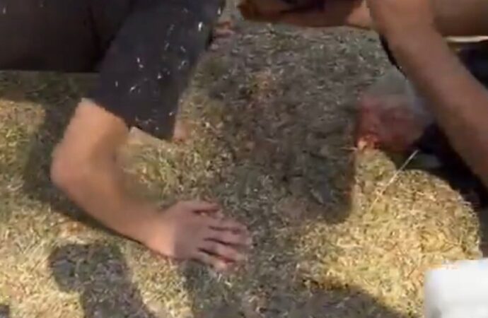 Joven “therian” come croquetas de perro en CU y reunión termina con solo dos asistentes