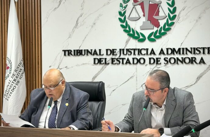 Realizan consulta para integrar elementos táctiles a credenciales de elector