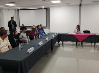Realizan consulta para integrar elementos táctiles a credenciales de elector