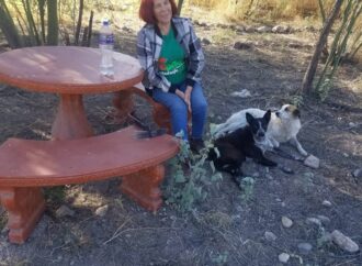 Invitan a sumarse a la reforestación del parque de Villa de Seris