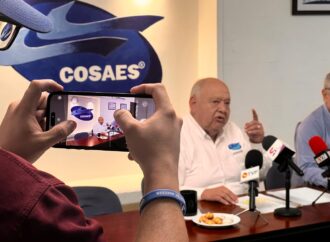 Cosaes reporta sólida producción de camarón de granja