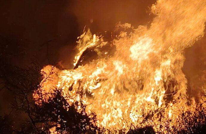 En Sonora, mueren dos tras incendio de vehículo en carretera