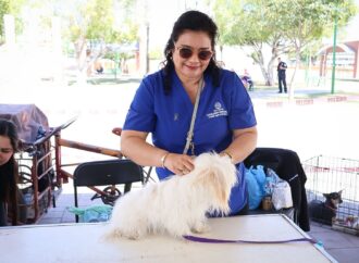 Arranca con éxito campaña de esterilización masiva en Cajeme