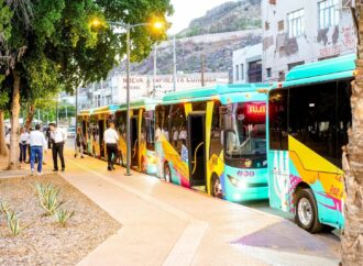 Habrá transporte gratuito para la Muestra Gastronómica de San Pedro