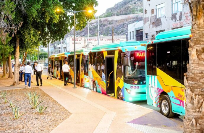 Habrá transporte gratuito para la Muestra Gastronómica de San Pedro