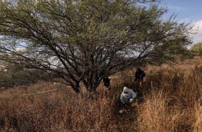Persisten discrepancias en registros sobre fosas clandestinas y crisis forense en México