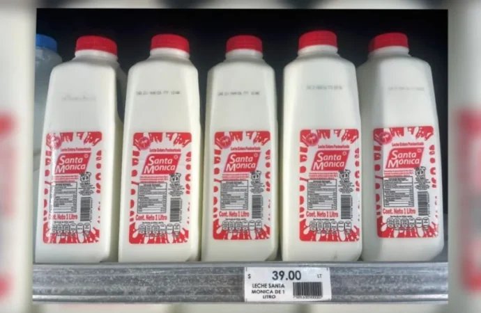 Empresa “Santa Mónica”, ligada a hija de “El Mayo”, es investigada por EU