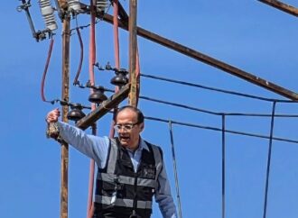 Ave provocó falla eléctrica en el centro de Hermosillo: CFE