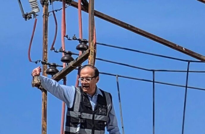 Ave provocó falla eléctrica en el centro de Hermosillo: CFE