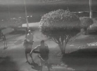 Brutal ataque a capibara en Brasil desata indignación; hay ocho detenidos