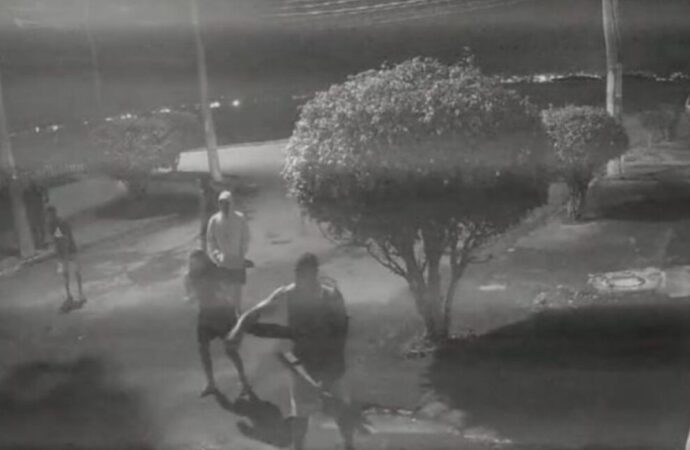 Brutal ataque a capibara en Brasil desata indignación; hay ocho detenidos