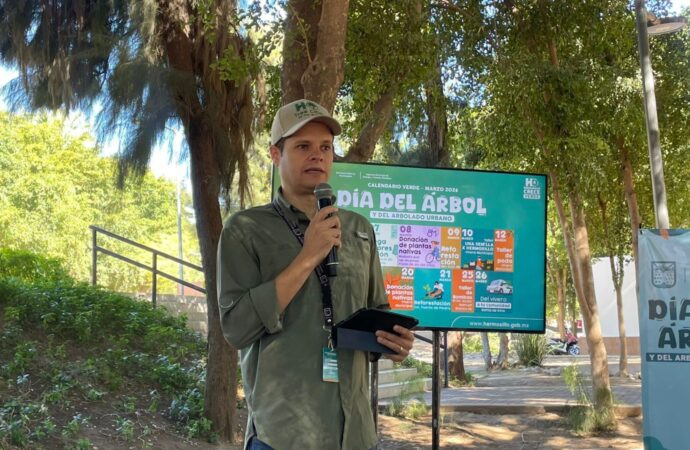 Plantarán más de mil árboles este mes en Hermosillo