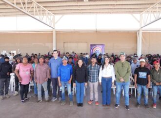 Refuerzan vacunación contra sarampión en campos agrícolas para proteger a jornaleros