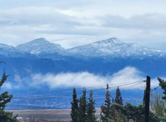 Sierra de Cananea amanece nevada; se registran 24 mm de precipitación