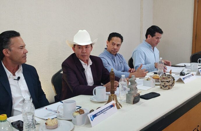 Morena respeta las diferencias que se tienen en la reforma Electoral