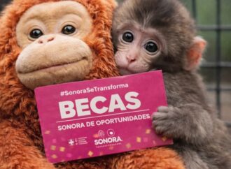 El 31 de marzo publicarán resultados de la Becas Sonora de Oportunidades