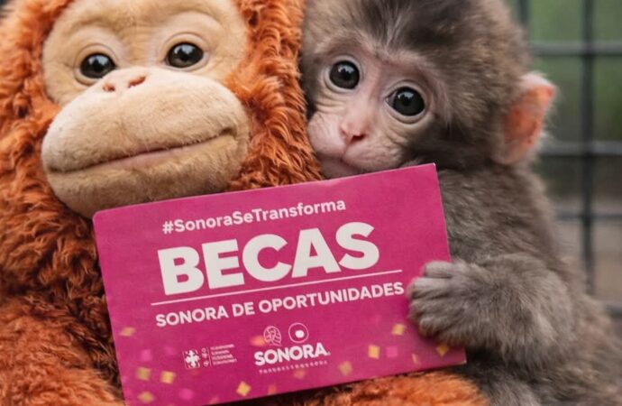 El 31 de marzo publicarán resultados de la Becas Sonora de Oportunidades