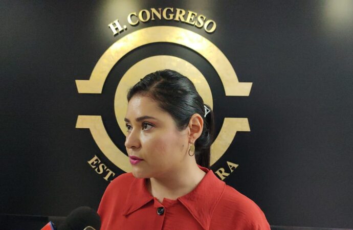 En Sonora se respaldará el Plan B de la presidenta Shienbaum